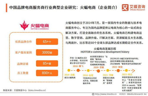 艾媒咨询 2023年中国品牌电商服务商行业研究报告